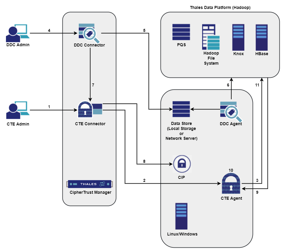 CIP Workflow