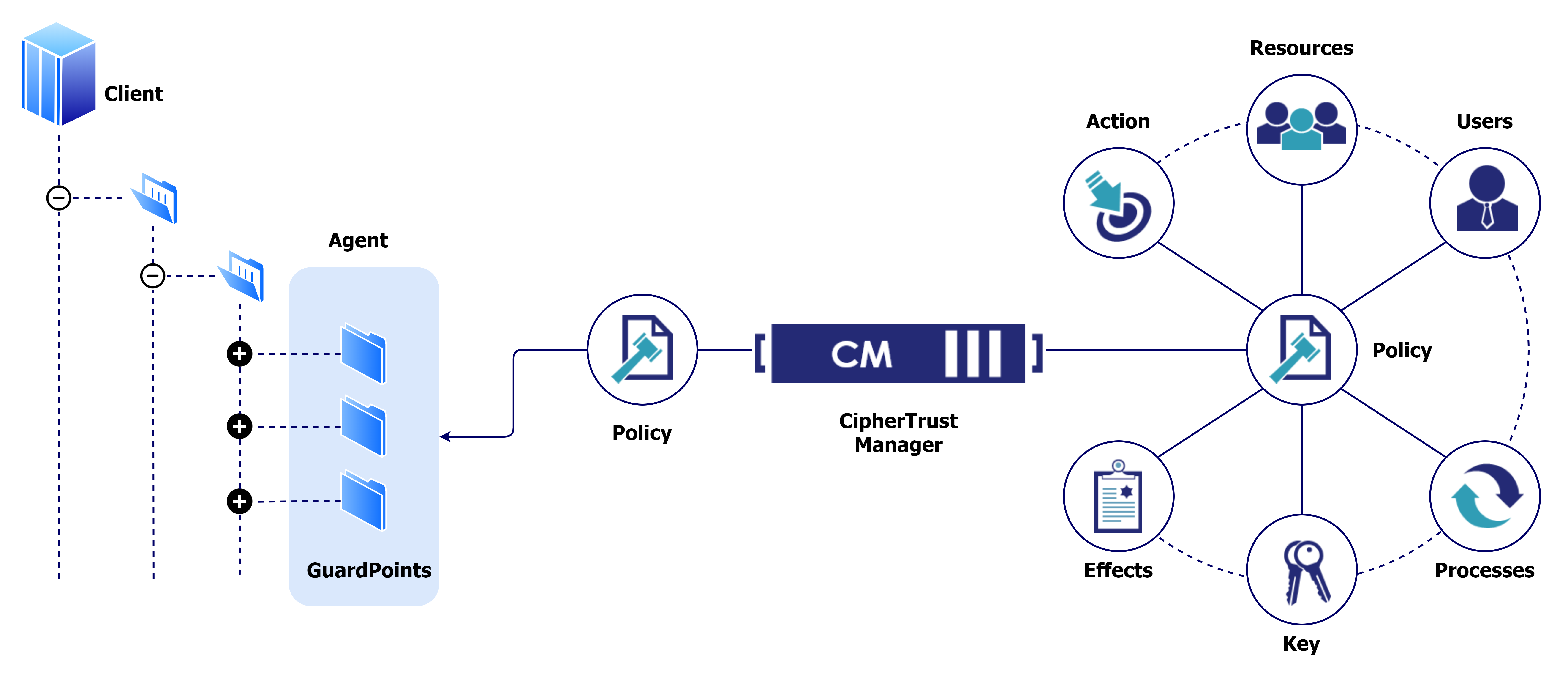 Policy Overview