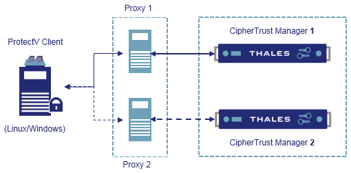 ProtectV client proxy architecture