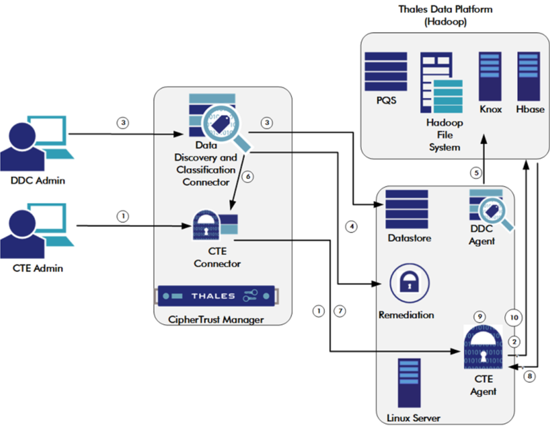 CIP Workflow