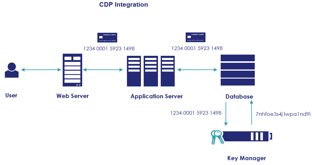 Database Encryption