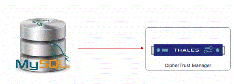 MySQL 8.0