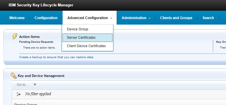 Server Certificate