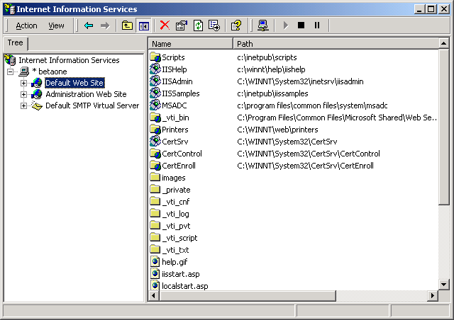 Internet Information Services Window