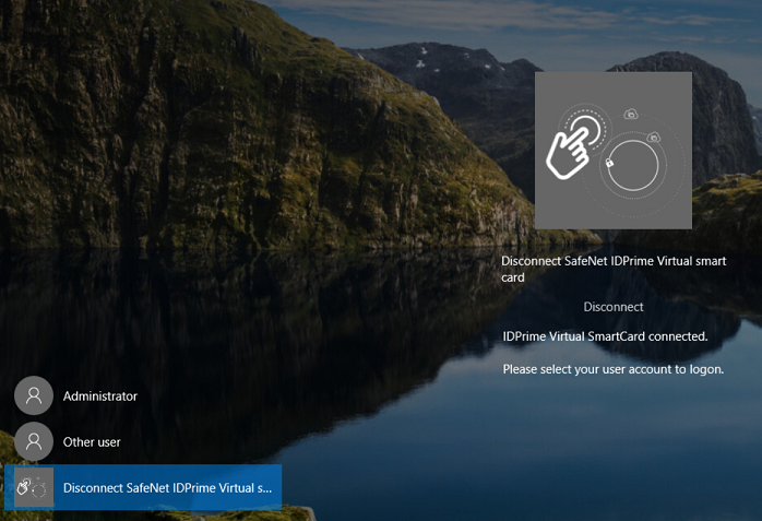 Successfull Connect Window