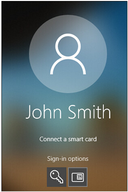 Sign-in Options Window