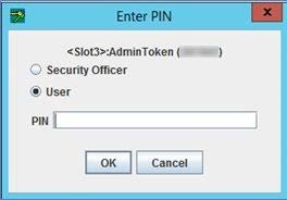 Enter Pin dialog Box