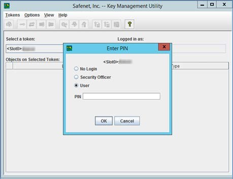 Enter PIN Enter PIN Popup Window