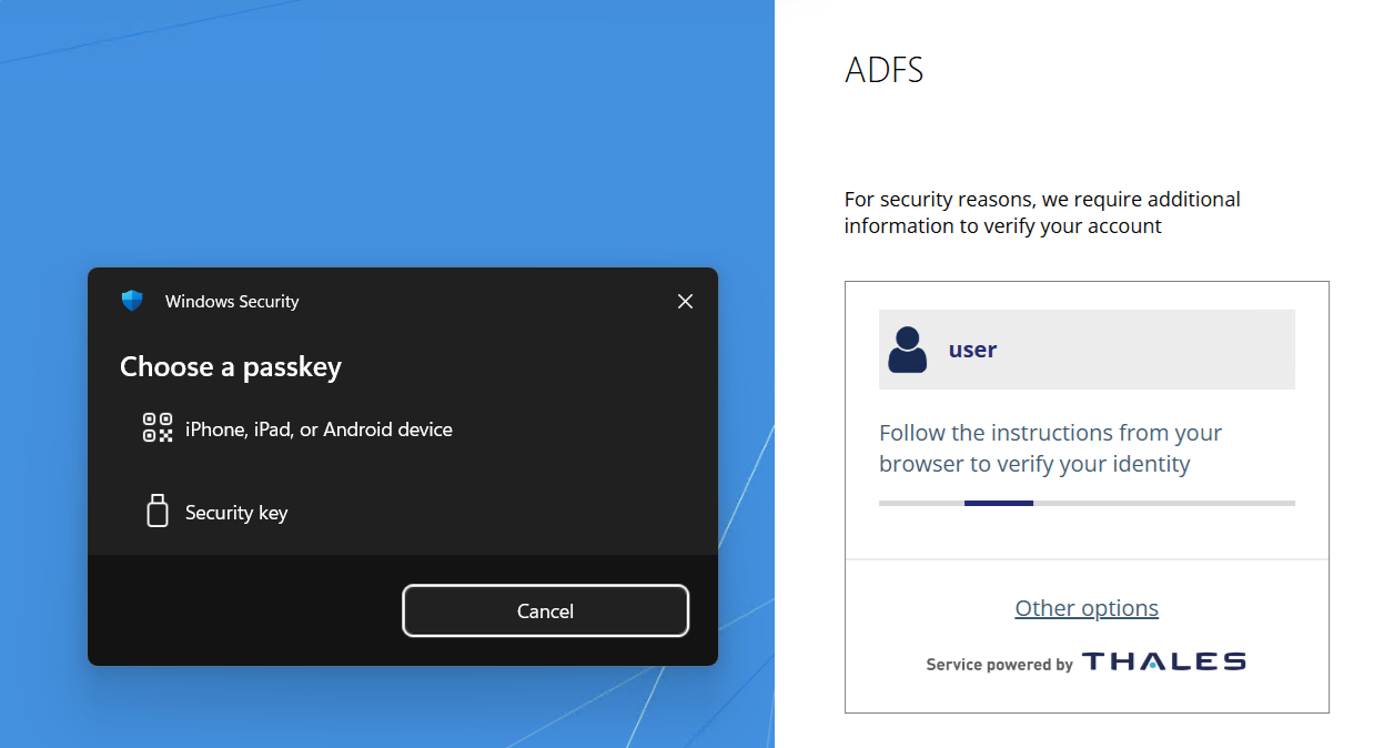Choose a passkey