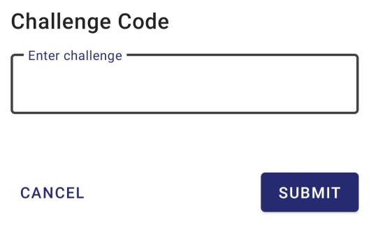 Challenge code prompt