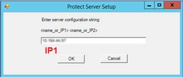 Provide HSM IP Protect Server Setup Window