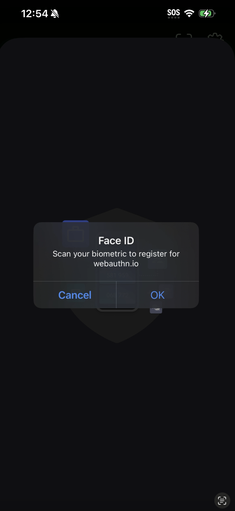 Biometric confirmation